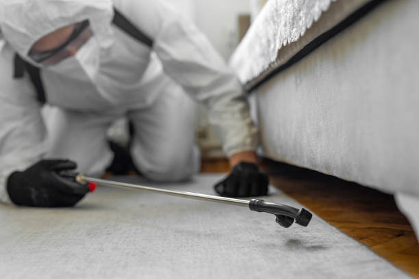 Professional Termite Control technician working in Morrilton, AR
