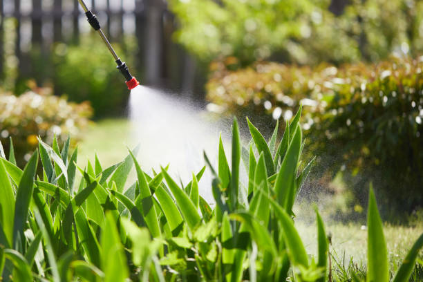 24/7 Emergency Termite Control experts in Morrilton, AR