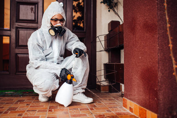 Reliable Termite Control contractor in Morrilton, AR by Nex Pest Control