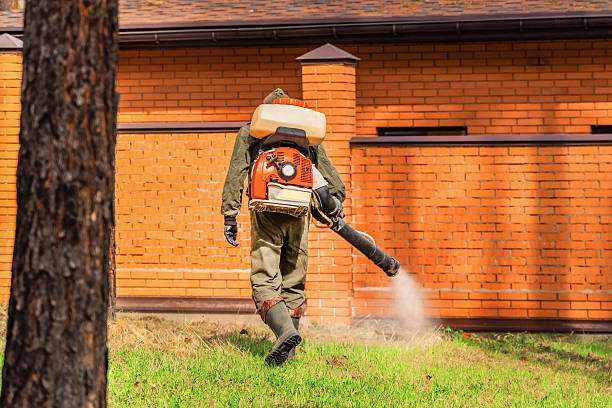 Trusted Termite Control service in Morrilton, AR - Nex Pest Control
